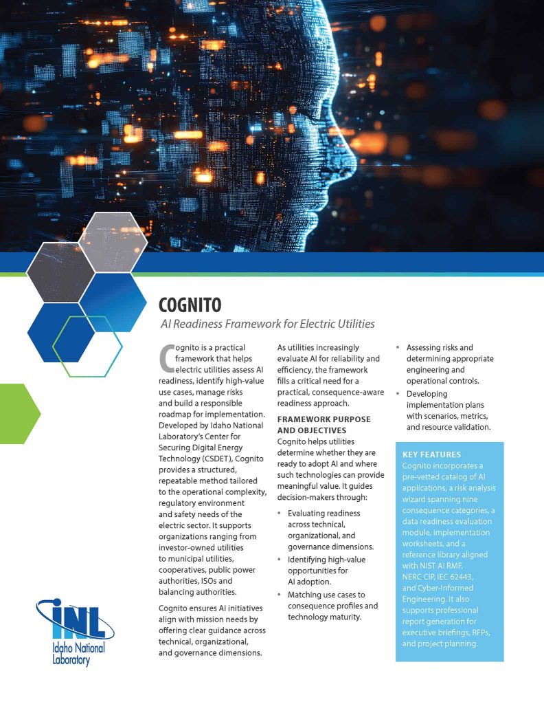 cognito factsheet cover